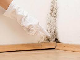 Best Mold Remediation for Vacation Homes  in Lula, GA